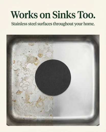 Stainless Steel Sponge