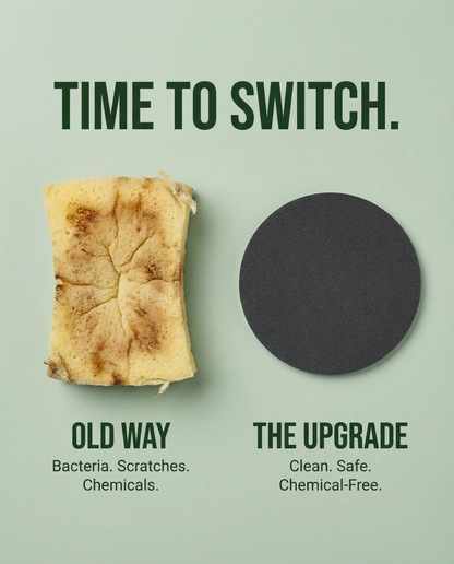 Stainless Steel Sponge