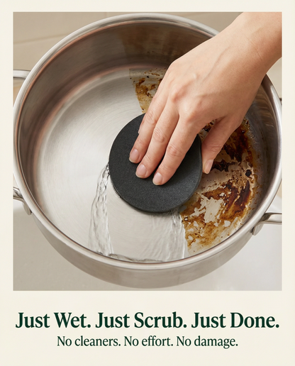 Stainless Steel Sponge